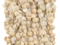 The Bead Chest Sea Spiral Natural Shell Beads: Genuine White Shell Unusual Shape Beads for Bohemian Jewelry, Full Strand